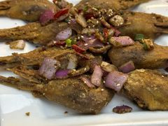 -怪怪龙虾·澳洲蓝龙上新(惊驾路店)