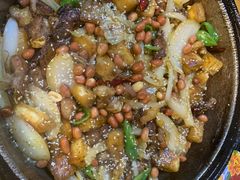 -老钟家烤羊排·敦伊阁清真餐厅胡羊焖饼