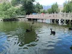 -新疆天山野生动物园