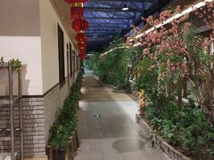 -森谷美食公园(杨行店)
