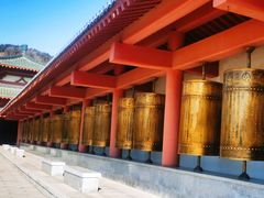 -龙口南山旅游景区