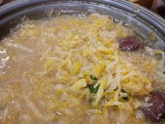 -邵年鸽(杨庄店)