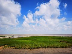 -南汇嘴观海公园