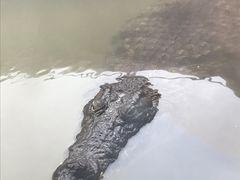 -武汉动物园
