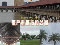 -九龙湖公园