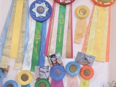 -Husky Go! 哈士奇体验馆·宠物咖啡厅狗咖