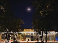 -洋湖国家湿地公园