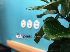 -CoCo都可(中集店)