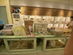 -龙猫仔乐园(惠福东路店)