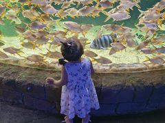 -多彩贵州城极地海洋世界