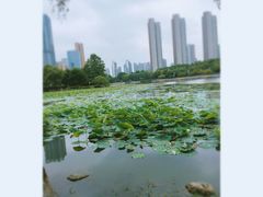 -后襄河公园