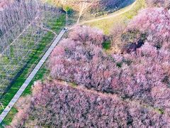 -明秦王墓遗址