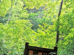 -本溪汤沟绿石谷森林公园