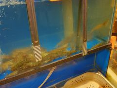 -苏格里岛自助海鲜烤肉(青秀万达店)