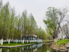 -泰州凤城河风景区-泰山公园