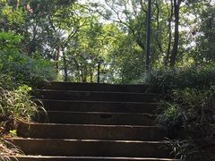 -赭山公园