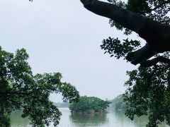 -江心屿景区