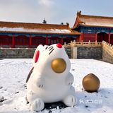 翻到了年前赶上下雪的时候去的旧宫，还是没忍住把照片发
