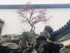 -胡雪岩故居