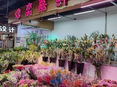 -大自然花鸟鱼虫市场