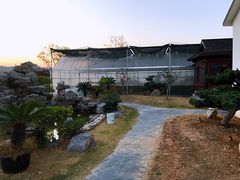 -呼吸森林·生态农庄农家乐私房菜