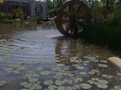 -武清南湖绿博园