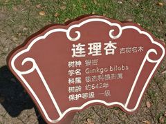 -苏州文庙(姑苏区)