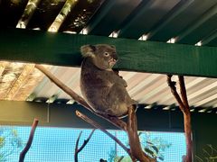 -费瑟代尔野生动物园