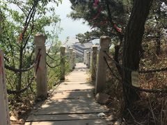 -石老人观光园
