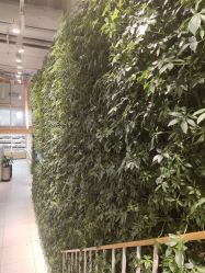 -悦诗风吟innisfree