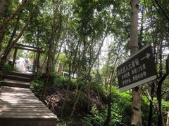 -白草畔自然风景区