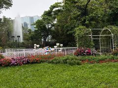 -九龙公园
