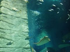 -正佳极地海洋世界