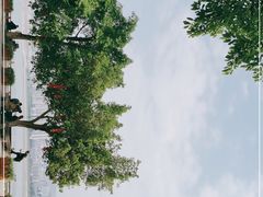 -丰都鬼城名山景区