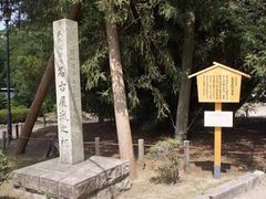-名古屋城
