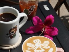 -SAFARI COFFEE