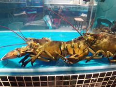 -江南赋(内蒙古大厦店)