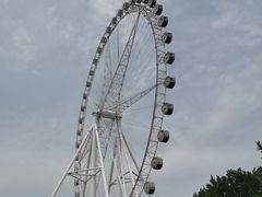 -石家庄市植物园