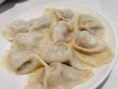 茴香猪肉水饺-枫林饺子