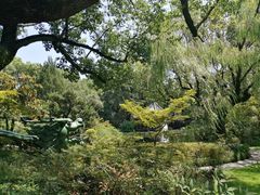 -申粤轩酒楼·三十年粤菜经典(丁香花园店)