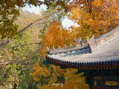 -香山公园