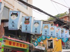 -猫咪博物馆(顶澳仔猫街店)