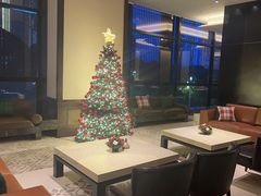 -丽晶轩中餐厅(重庆丽晶酒店)