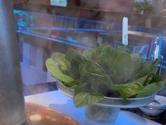 -阳坊胜利涮羊肉(禧乐汇店)