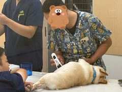 -康成宠物医院24H·CT·核磁共振