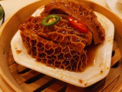 黑椒汁蒸金钱肚-南海渔村(珠江新城店)