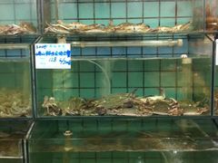 -海岛渔村大酒店(云霄路店)