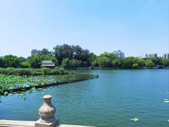 -济南大明湖景区