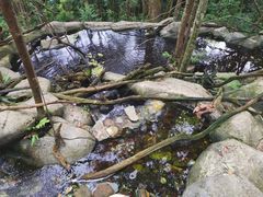 -普洱太阳河森林公园