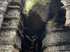 -梭布垭石林景区